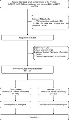 Prognostic nomogram to predict cancer-specific survival with small-cell carcinoma of the prostate: a multi-institutional study